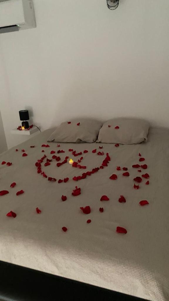 הוילה קרפנטרה Cosy House Jacuzzi מראה חיצוני תמונה